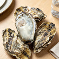 Fresh Shucked Oysters on Half Shell