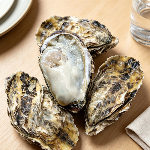 Fresh Shucked Oysters on Half Shell